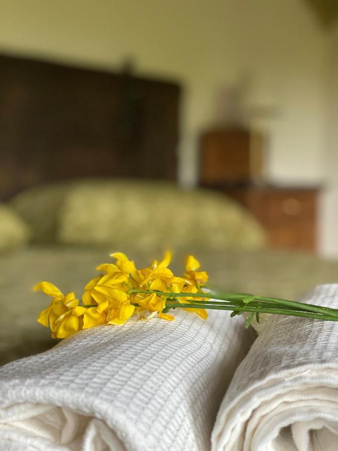 Cascina Boschetto Bed and Breakfast Saliceto Εξωτερικό φωτογραφία