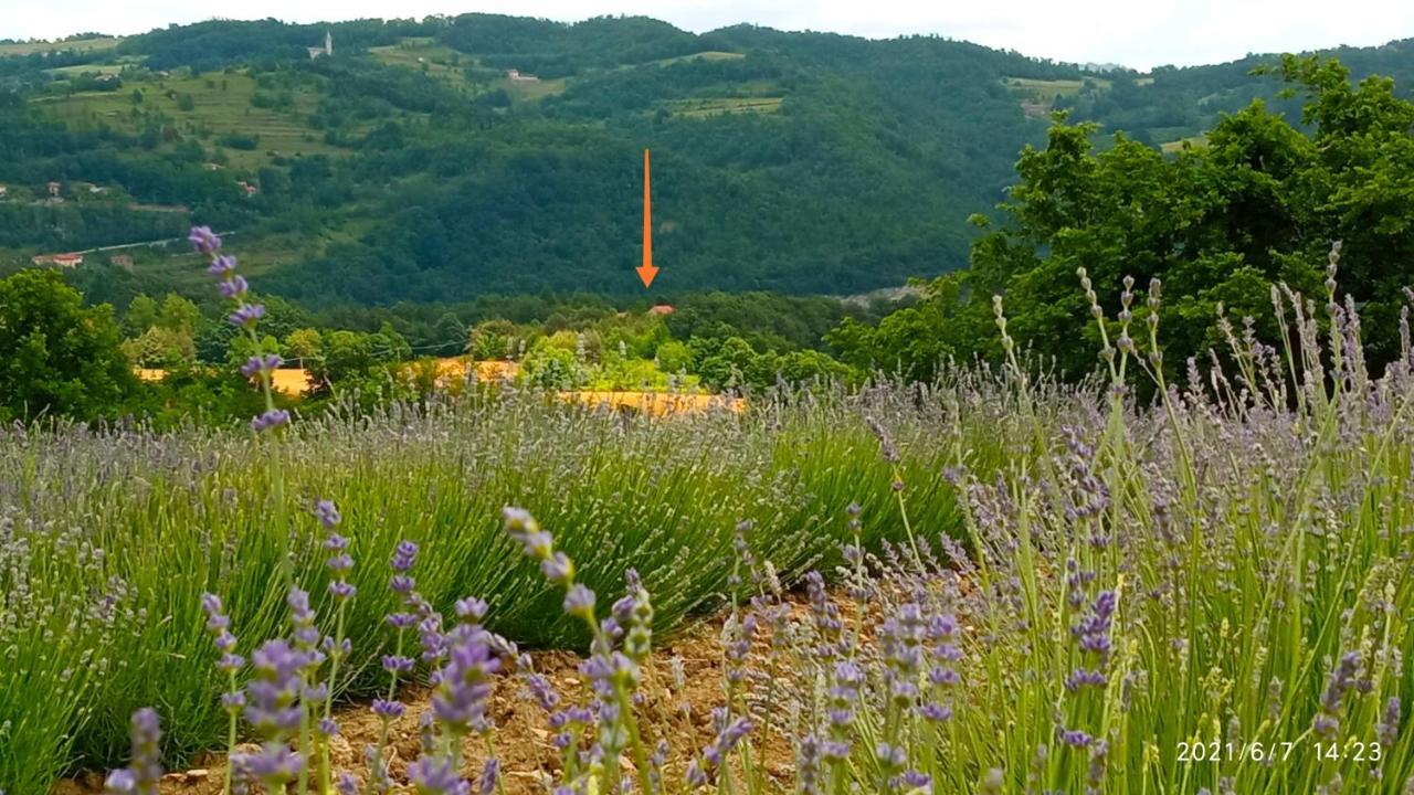 Cascina Boschetto Bed and Breakfast Saliceto Εξωτερικό φωτογραφία