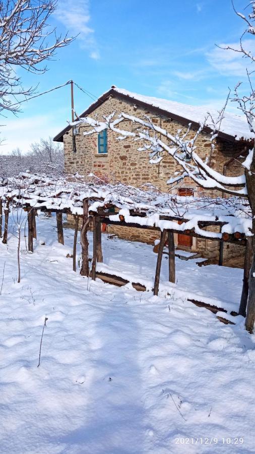 Cascina Boschetto Bed and Breakfast Saliceto Εξωτερικό φωτογραφία
