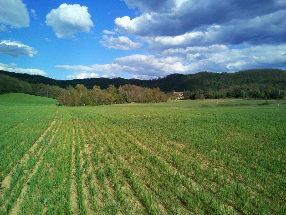 Cascina Boschetto Bed and Breakfast Saliceto Εξωτερικό φωτογραφία
