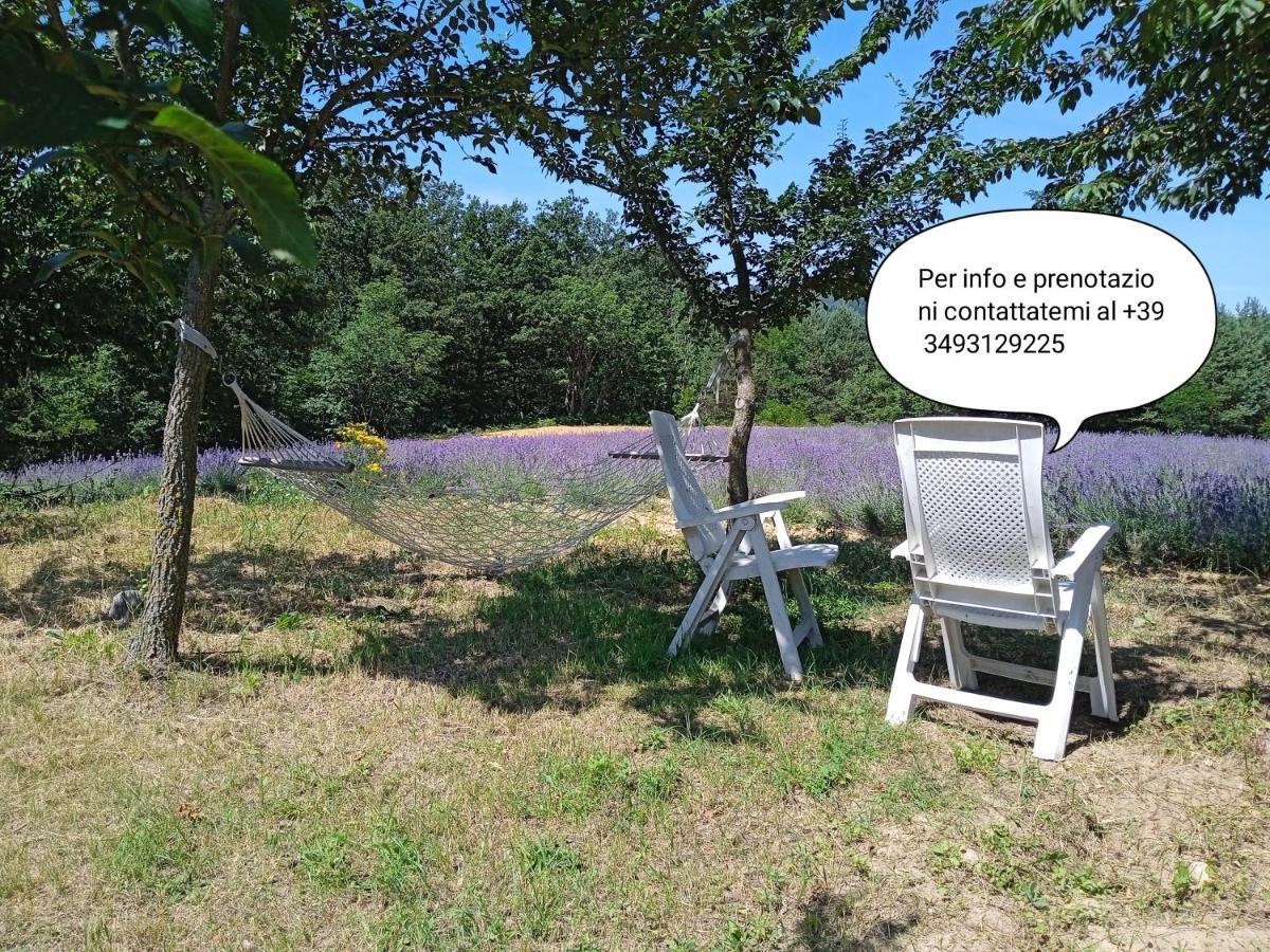 Cascina Boschetto Bed and Breakfast Saliceto Εξωτερικό φωτογραφία
